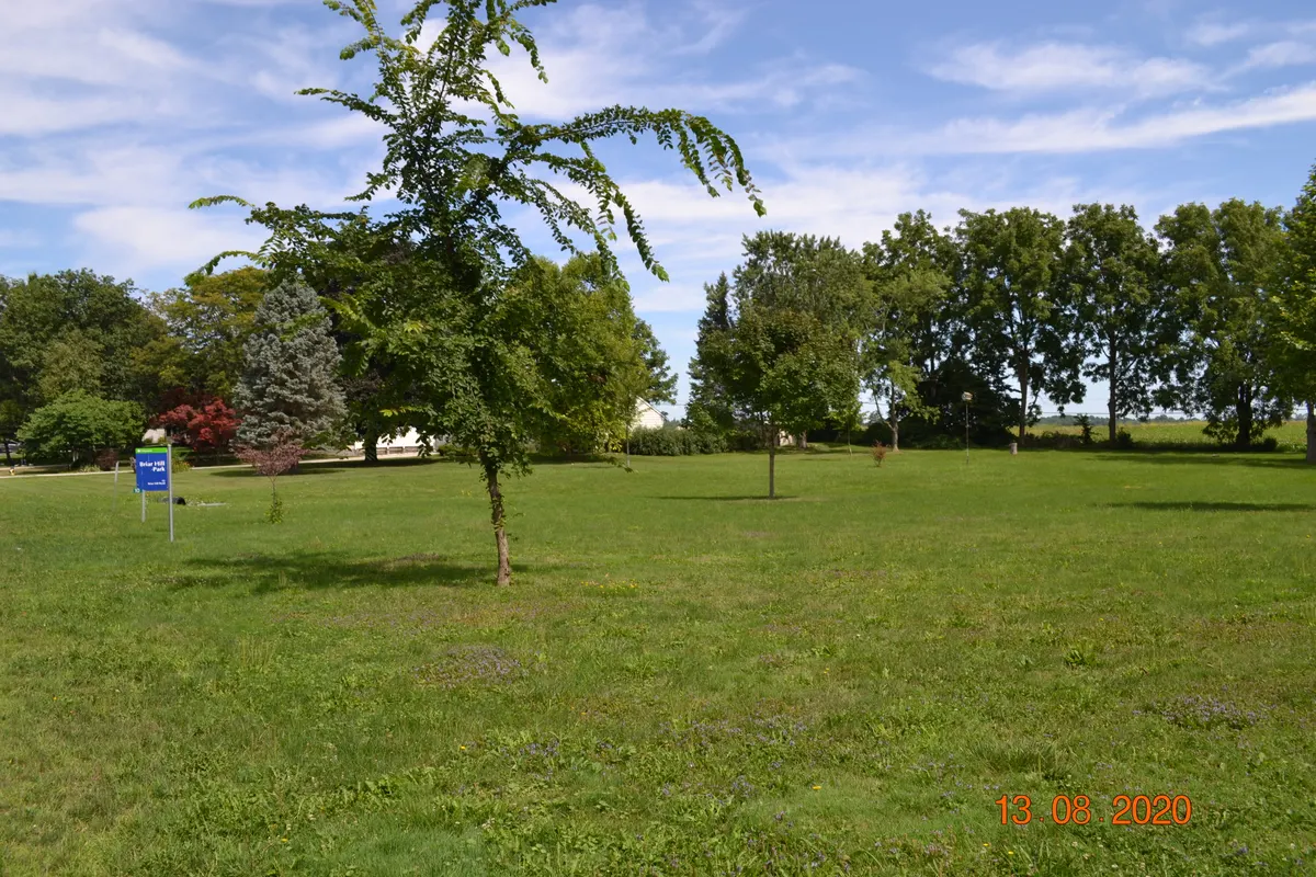 Briar Hill Greenspace