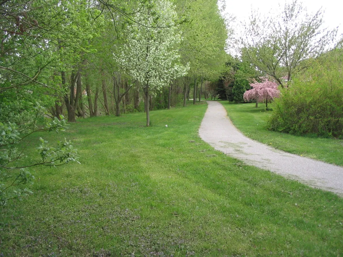 Brown Drain Pathway