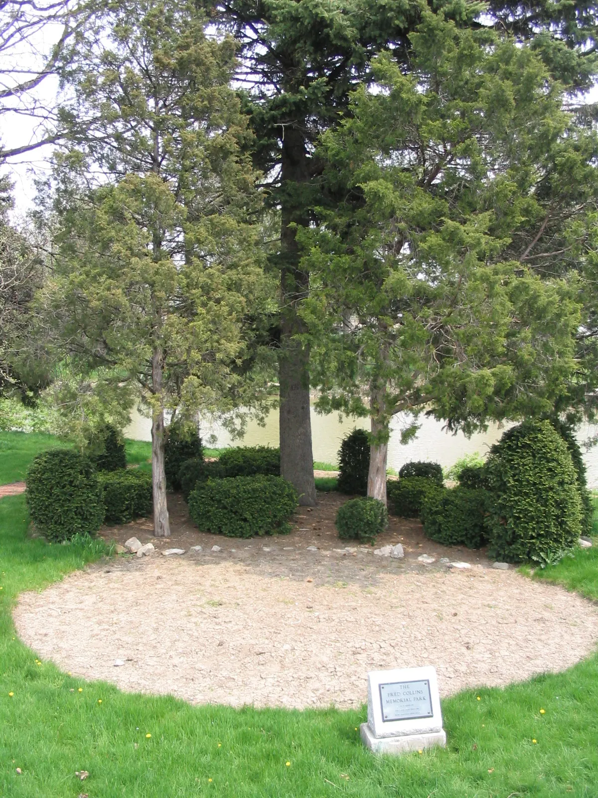 Collins Park