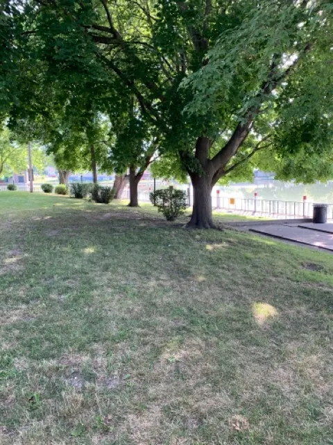 Library Park