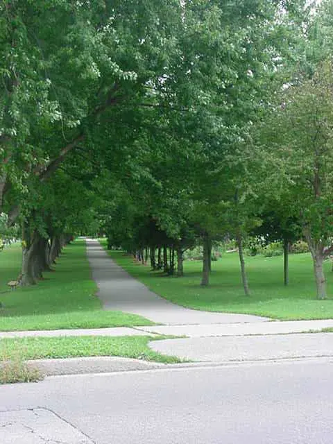 Mud Creek Park