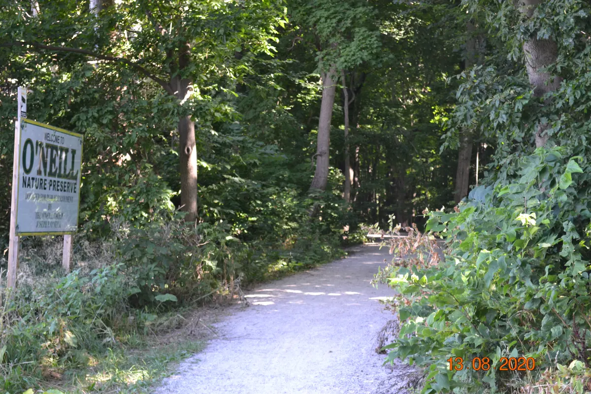O'Neil Nature Preserve