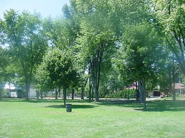 Steinhoff Park