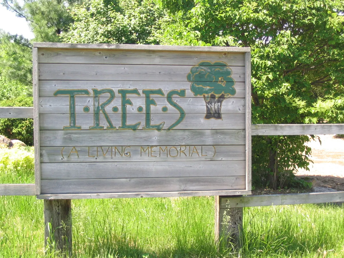 T.R.E.E.S. Park