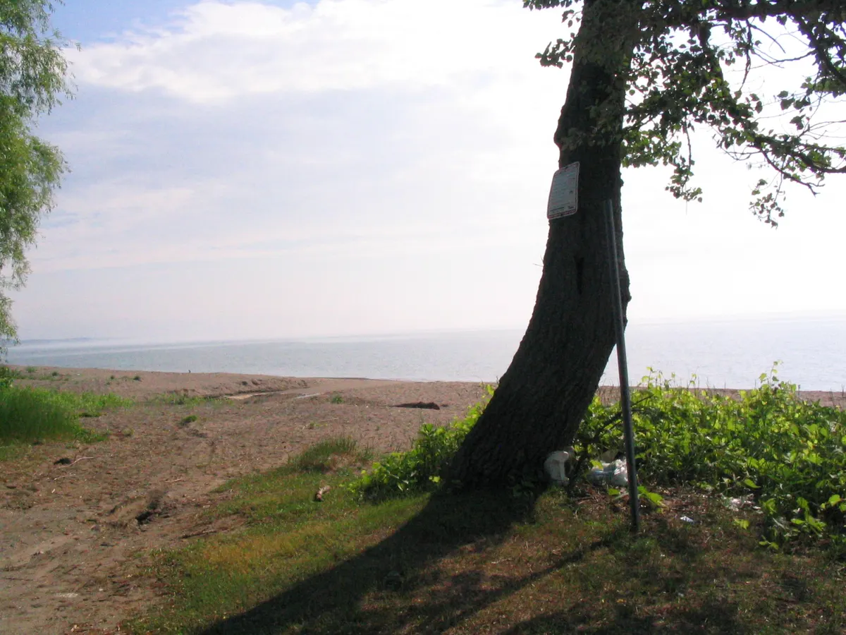 Terrace Beach